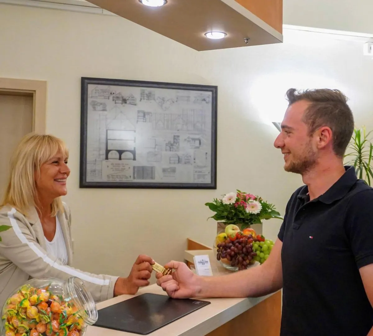 Fraenkischer Hof Hotel Garni Альценау